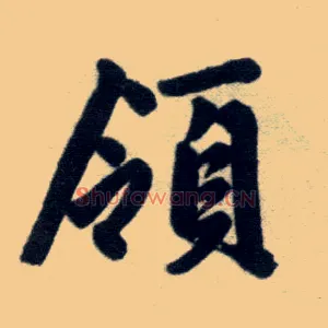 领
