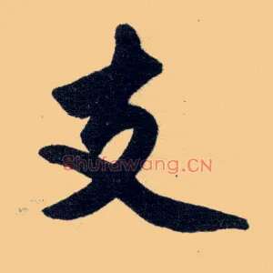 支