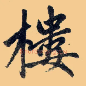 楼