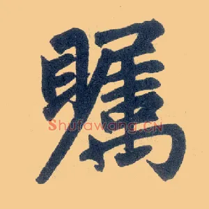 瞩