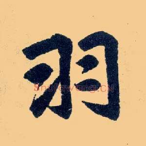 羽