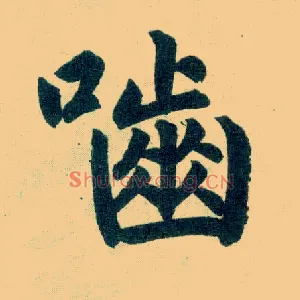 啮