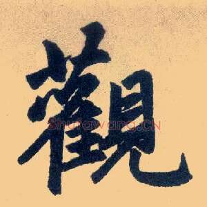观