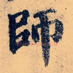 师