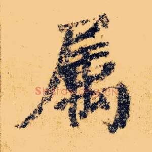 属