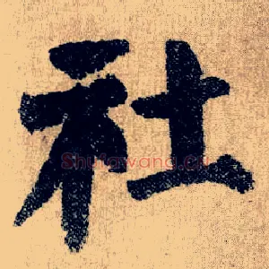 社