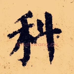 科