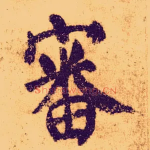 審