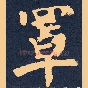 罩