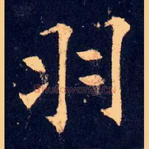 羽