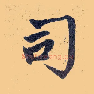 司