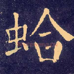 蛤