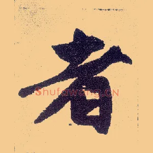 者