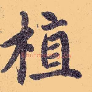 植