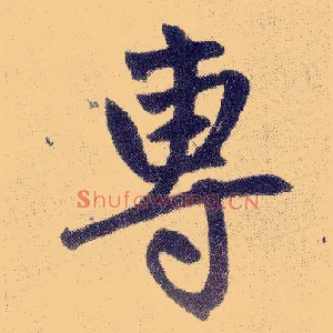 专