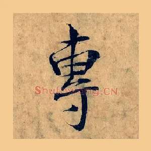 專