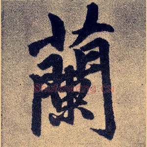 蘭