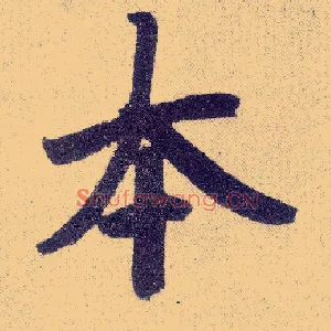 本