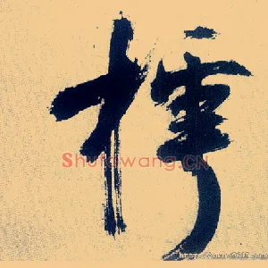 樗