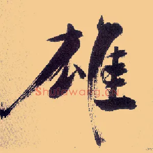 雄
