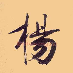 杨
