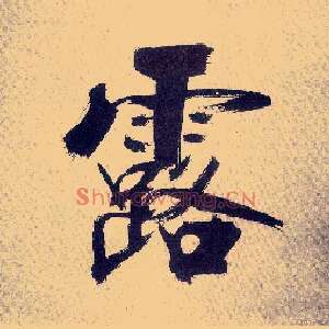 露