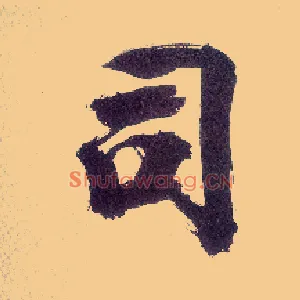 司