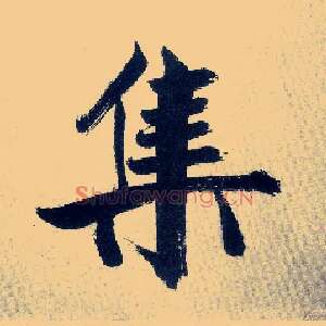 集