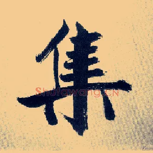 集