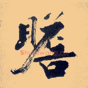瞻