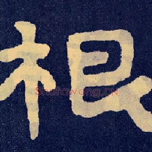 根