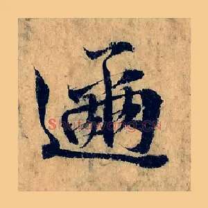 趂