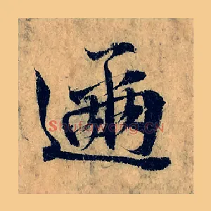 趂