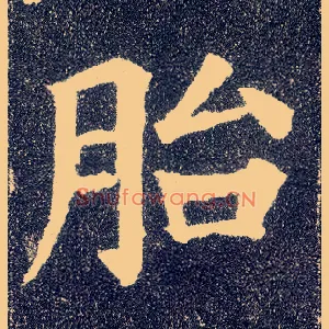 胎