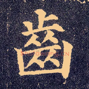 齿