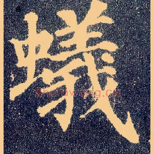 蚁