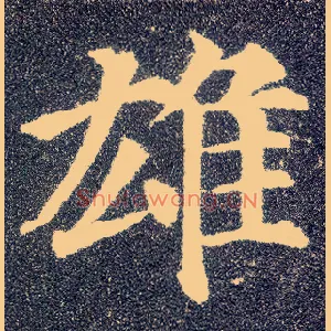 雄