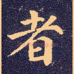 者