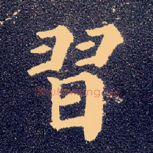 習