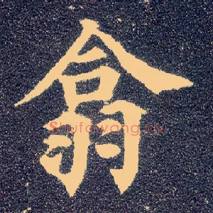 翕