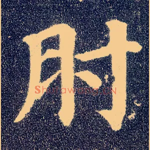 肘