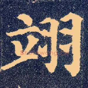 翊