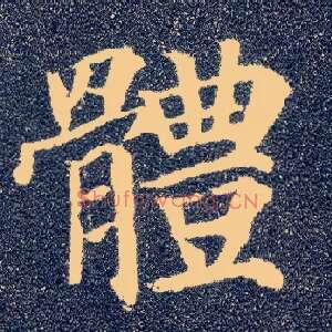 体