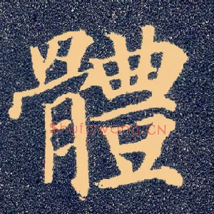 体