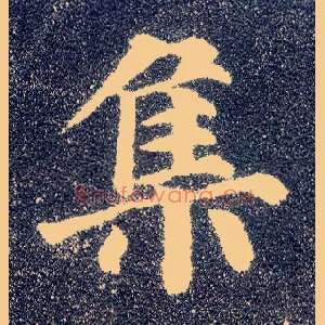 集