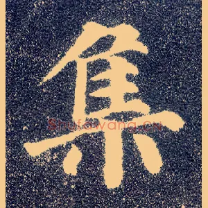 集