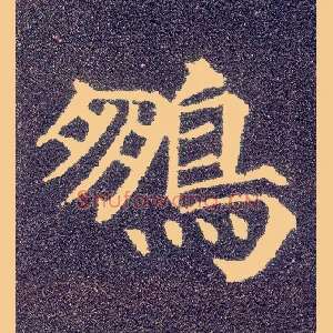鹏