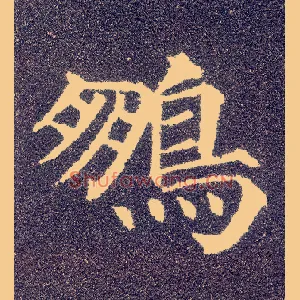 鹏