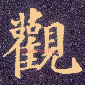 观