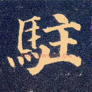 驻